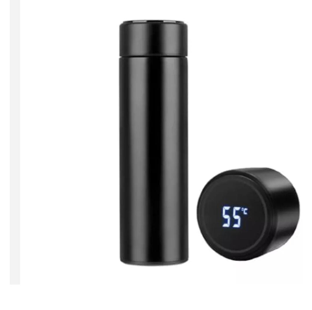 Stainless Steel Temperature Water Bottle