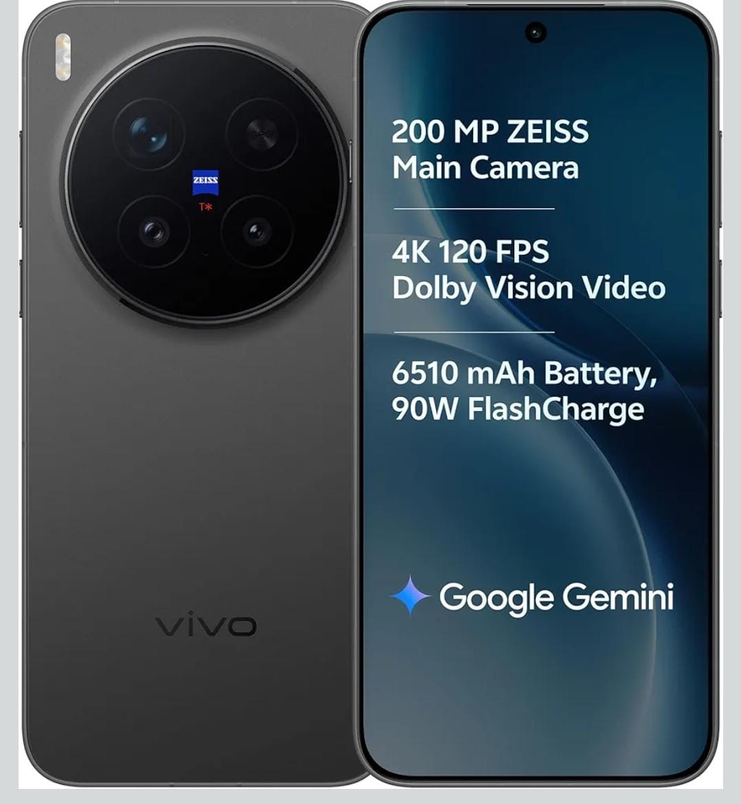 Organic Vegetable Box